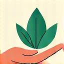 Hender som holder en grønn plante, symboliserer bærekraftig materialbruk
